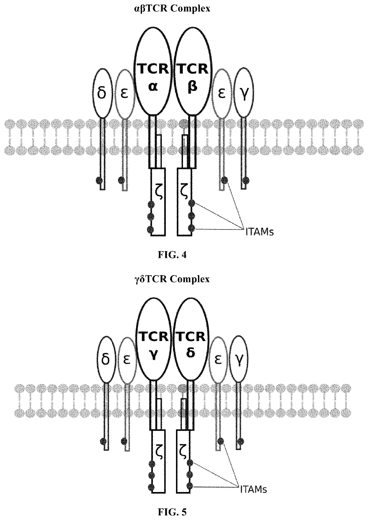 Programmable immunocyte receptor complex system