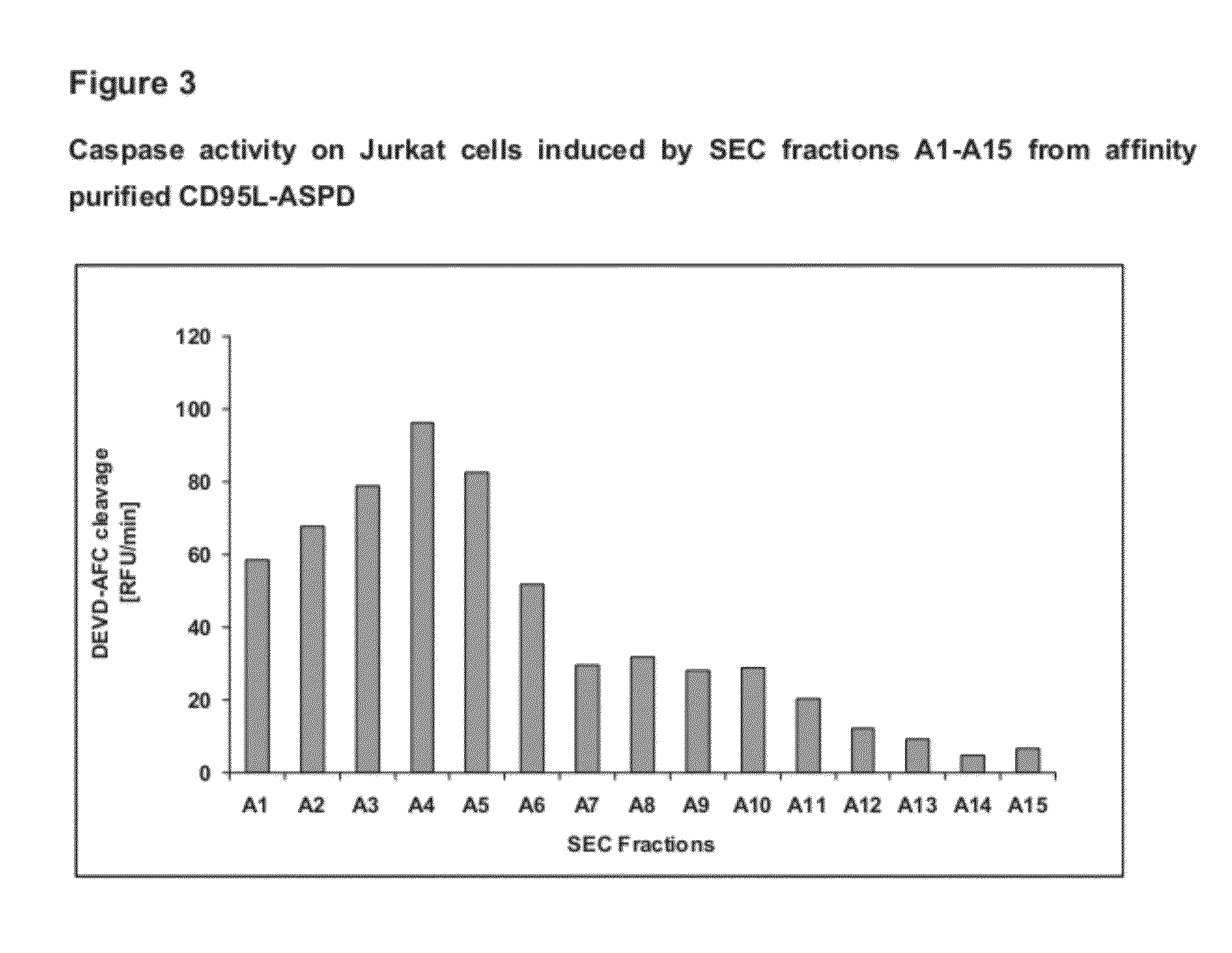 Fusion proteins forming trimers