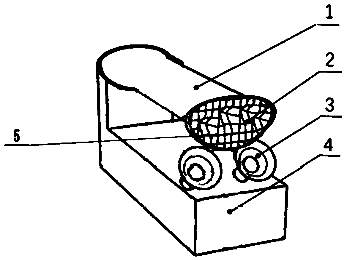 Aselliscus bat nose groove characteristic simulation device and method