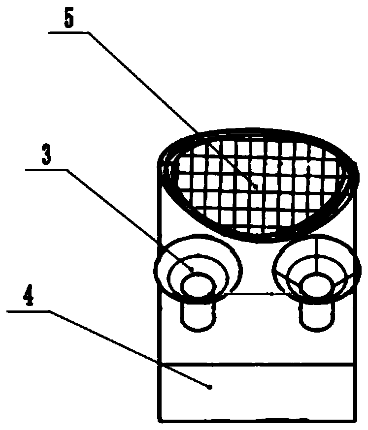 Aselliscus bat nose groove characteristic simulation device and method