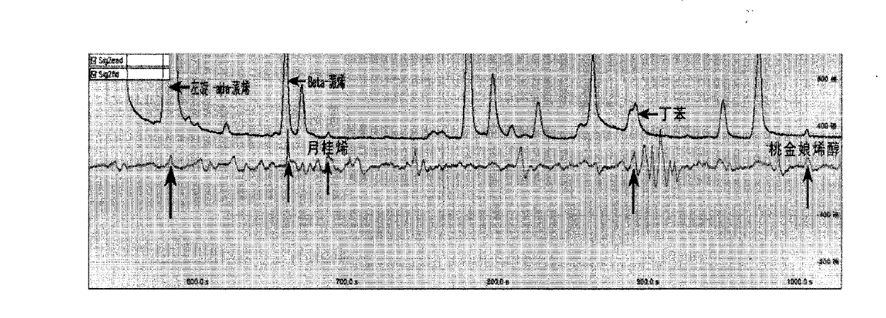 Method for measuring response of anoplophora chinensis to volatile substances, and trapping device