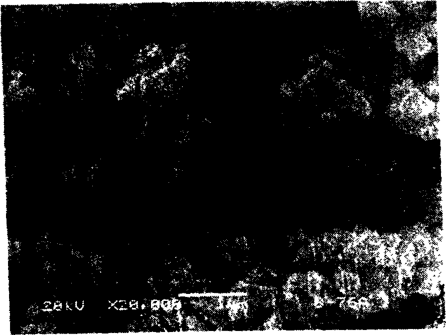 Method for producing WC-Fe composite powder of ultra fine grain by tungsten alloy scrap