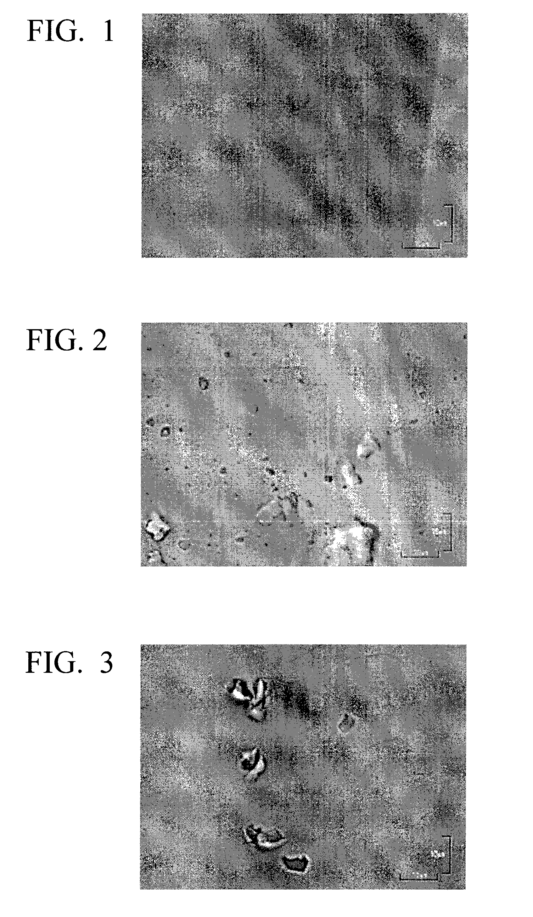 Cosmetic Containing Liquid Organopolysiloxane