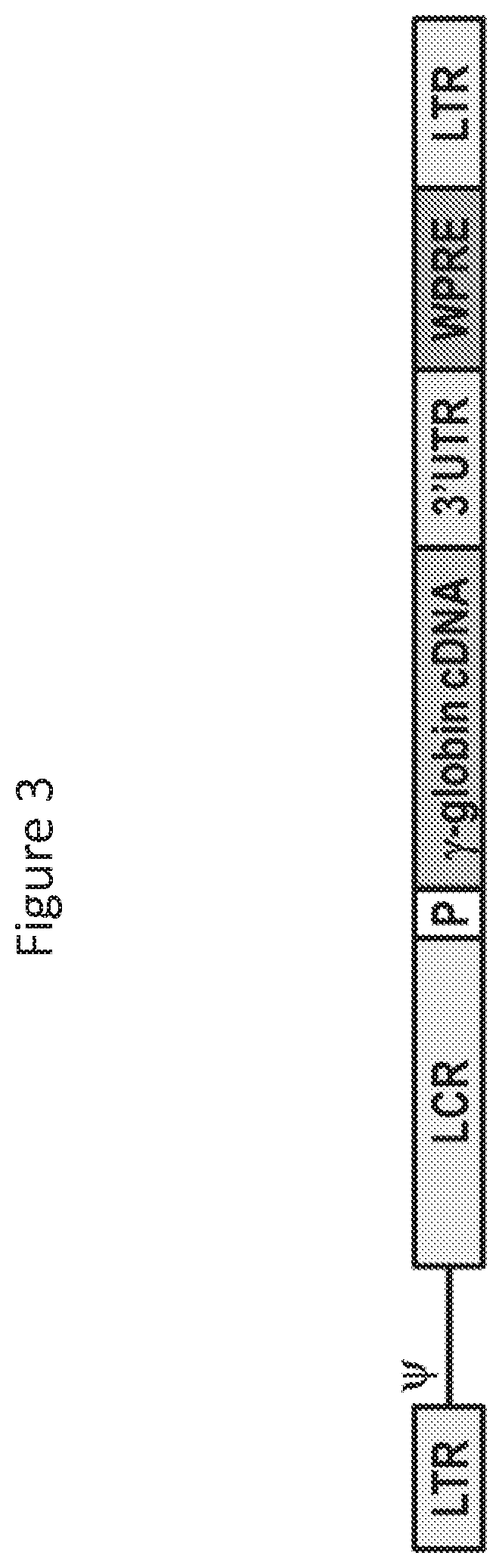 Lentiviral vector for treating hemoglobin disorders