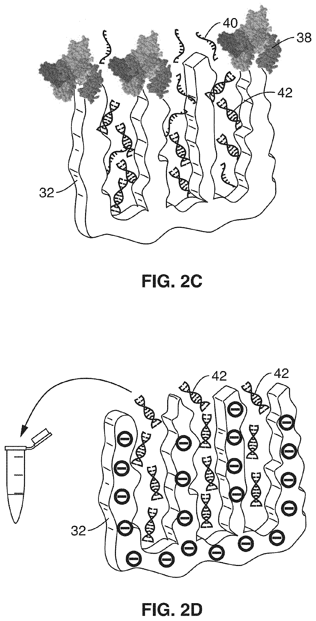 Integrated electrochemical detection and purification of nucleic acid biomarkers