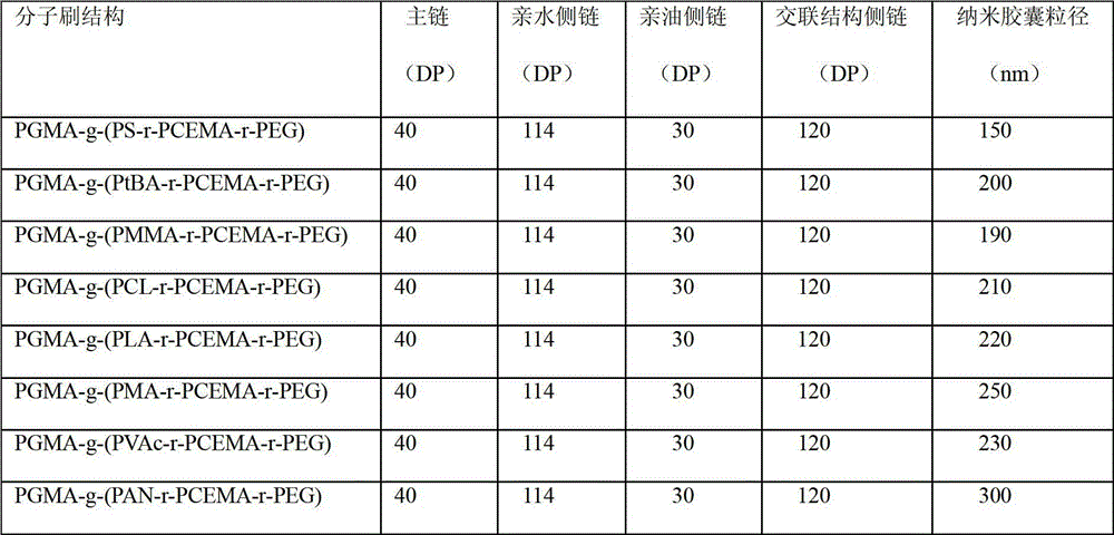 Amphiphilic ternary polymer brush and nano capsule