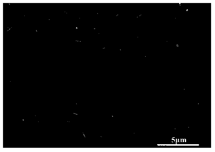 Preparation method of all-silicon MFI type molecular sieve membrane with high stability