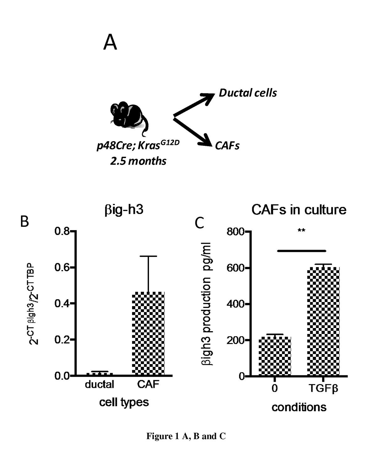 Early and Non Invasive Method for Assessing a Subject's Risk of Having Pancreatic Ductal Adenocarcinoma and Methods of Treatement of Such Disease