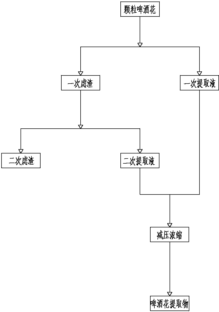 Lupulus solid drink and preparation method thereof