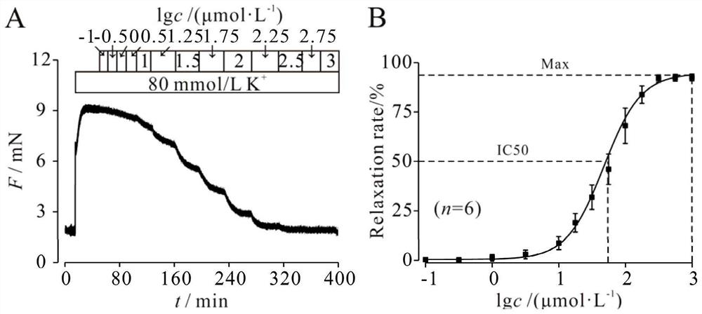 Application of whitewashine in the preparation of medicines for relaxation and pre-contraction of tracheal smooth muscle