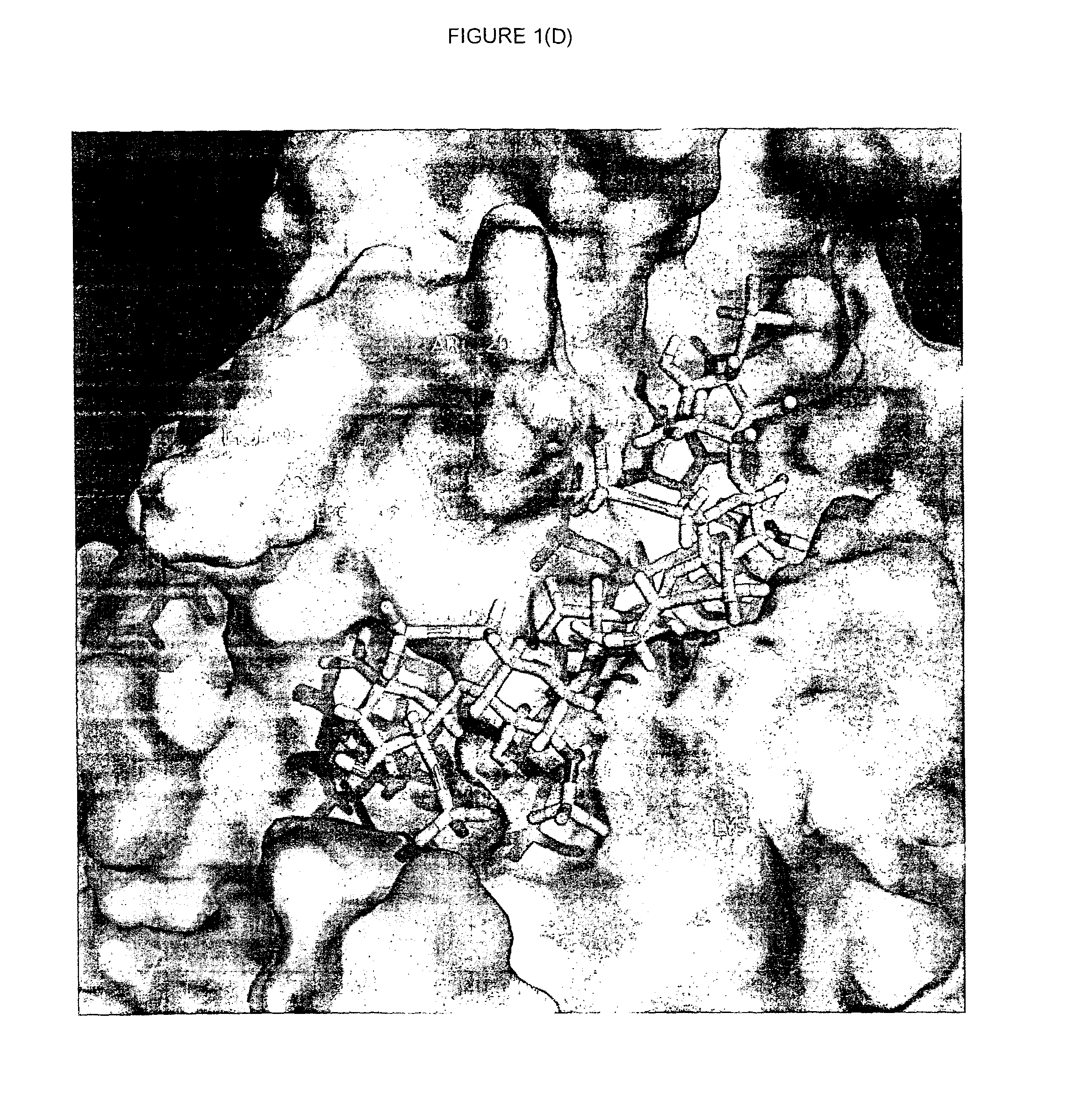 Novel polypeptides and use thereof