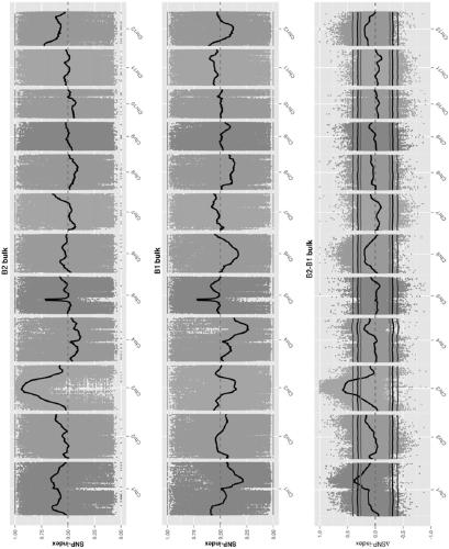 Method for accurately predicting BSA-seq candidate gene in low-density SNP genomic region