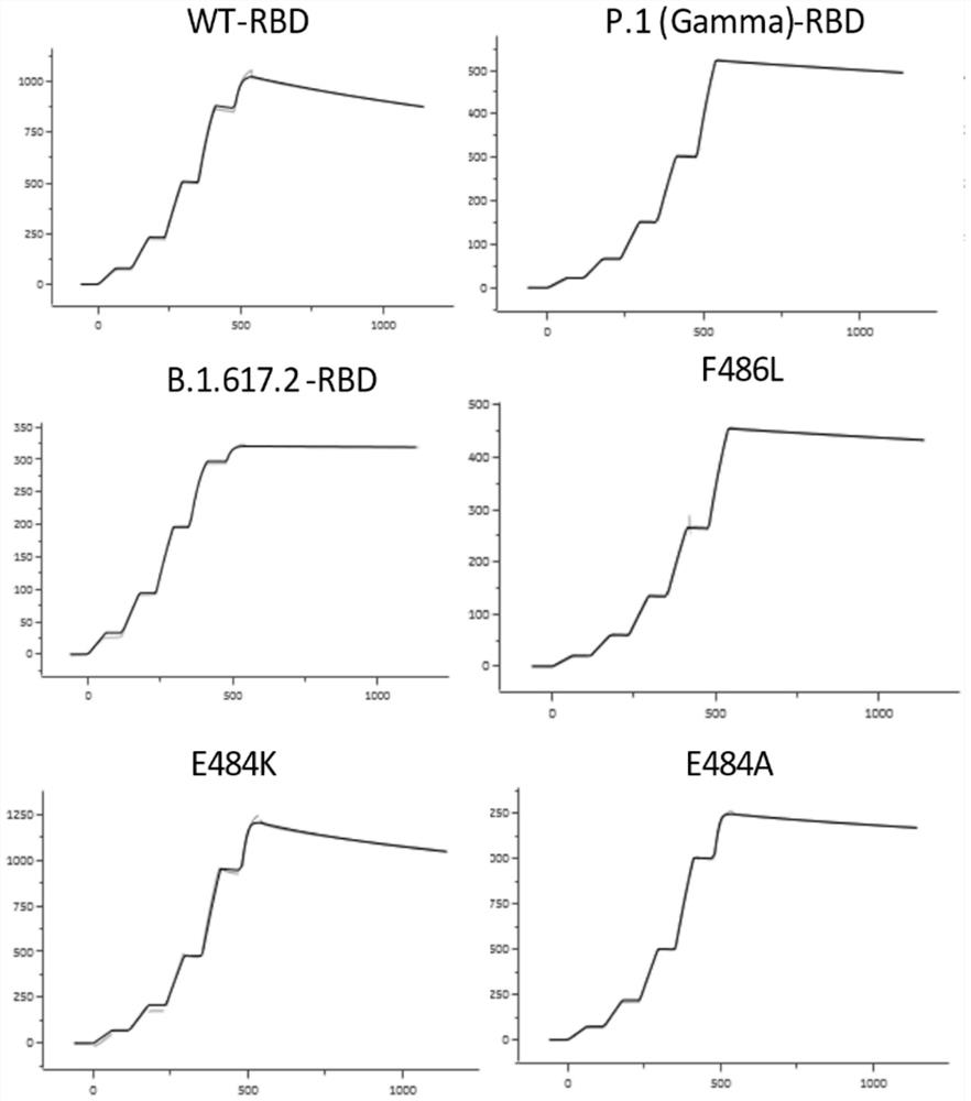 Monoclonal antibody of novel coronavirus and mutant thereof and application of monoclonal antibody