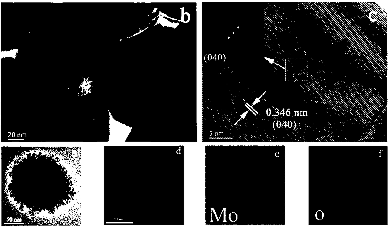 Triethylamine sensor based on MoO3 nano sensitive material as well as preparation method and application thereof