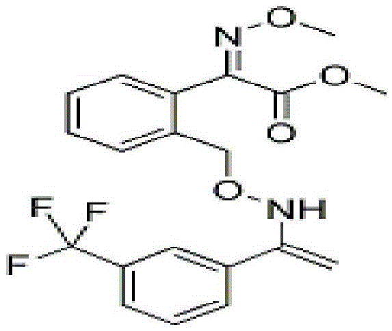 Sterilization composition containing trifloxystrobin and imidazole bacterium amine