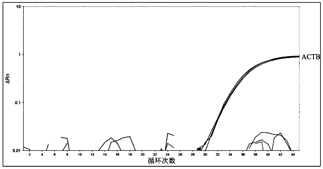 DNA methylation qPCR kit for lung cancer detection and using method thereof