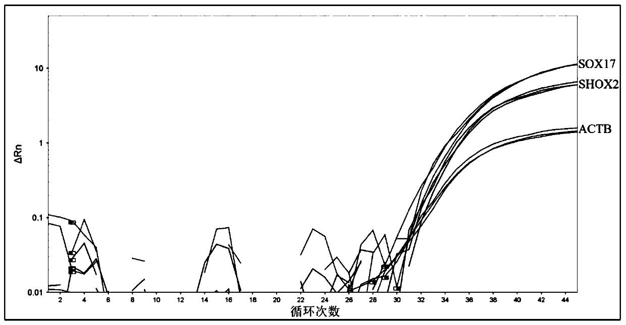 DNA methylation qPCR kit for lung cancer detection and using method thereof