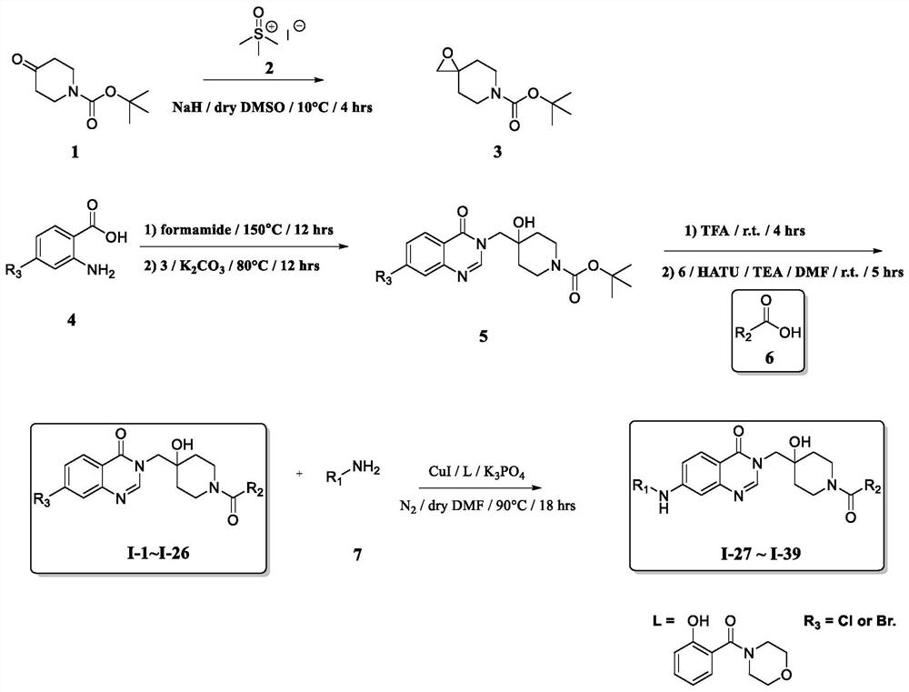 Quinazolinone USP7 inhibitor as well as preparation method and application thereof