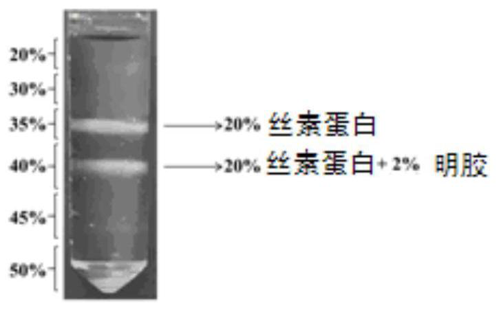 Hydrogel microcarrier and preparation method and application thereof