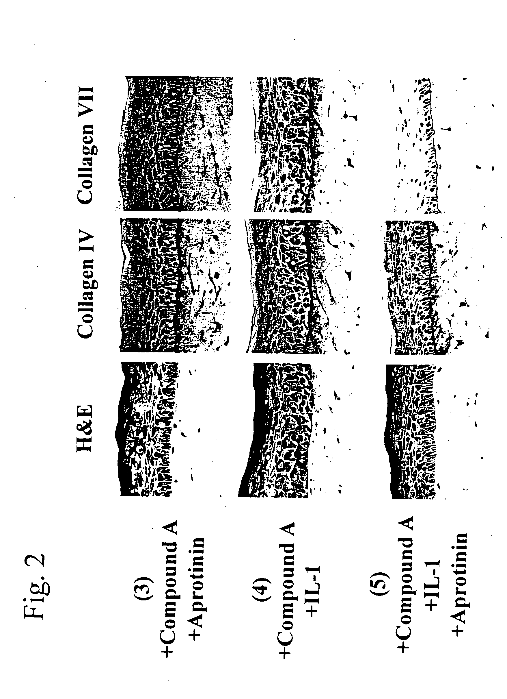 Skin vitalizing composition for external use anti-aging preparation