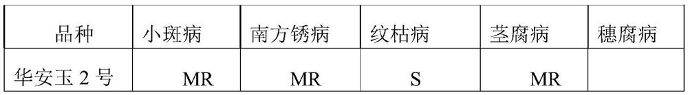 Method for creating high-yield multi-resistance corn inbred line suitable for northern latitude 33-degree region