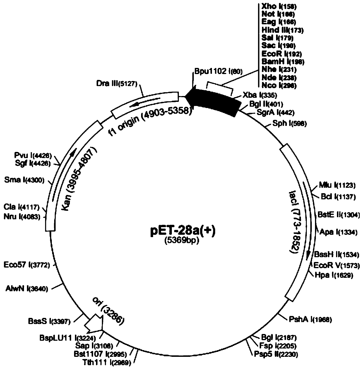 Money fish luteinizing hormone lh gene, money fish lh recombinant protein and application