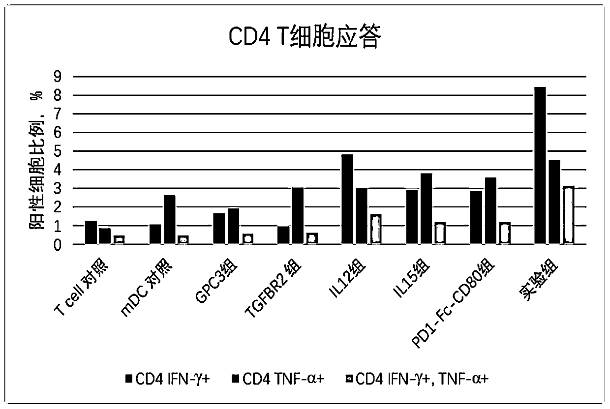 Immune regulation composition and application thereof