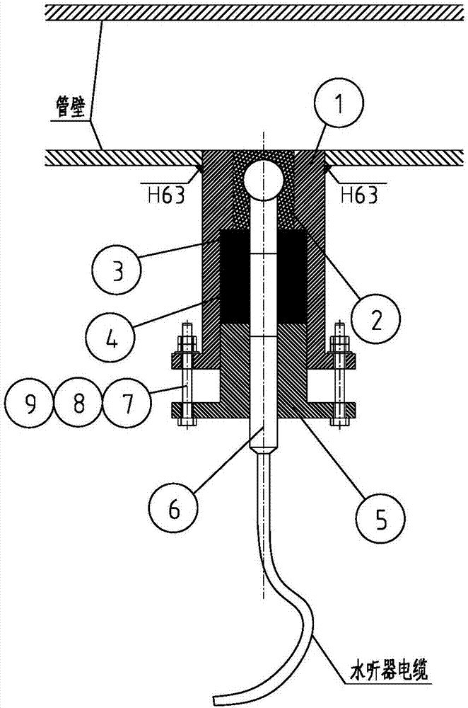 Pipeline hydrophone stuffing box and usage method thereof