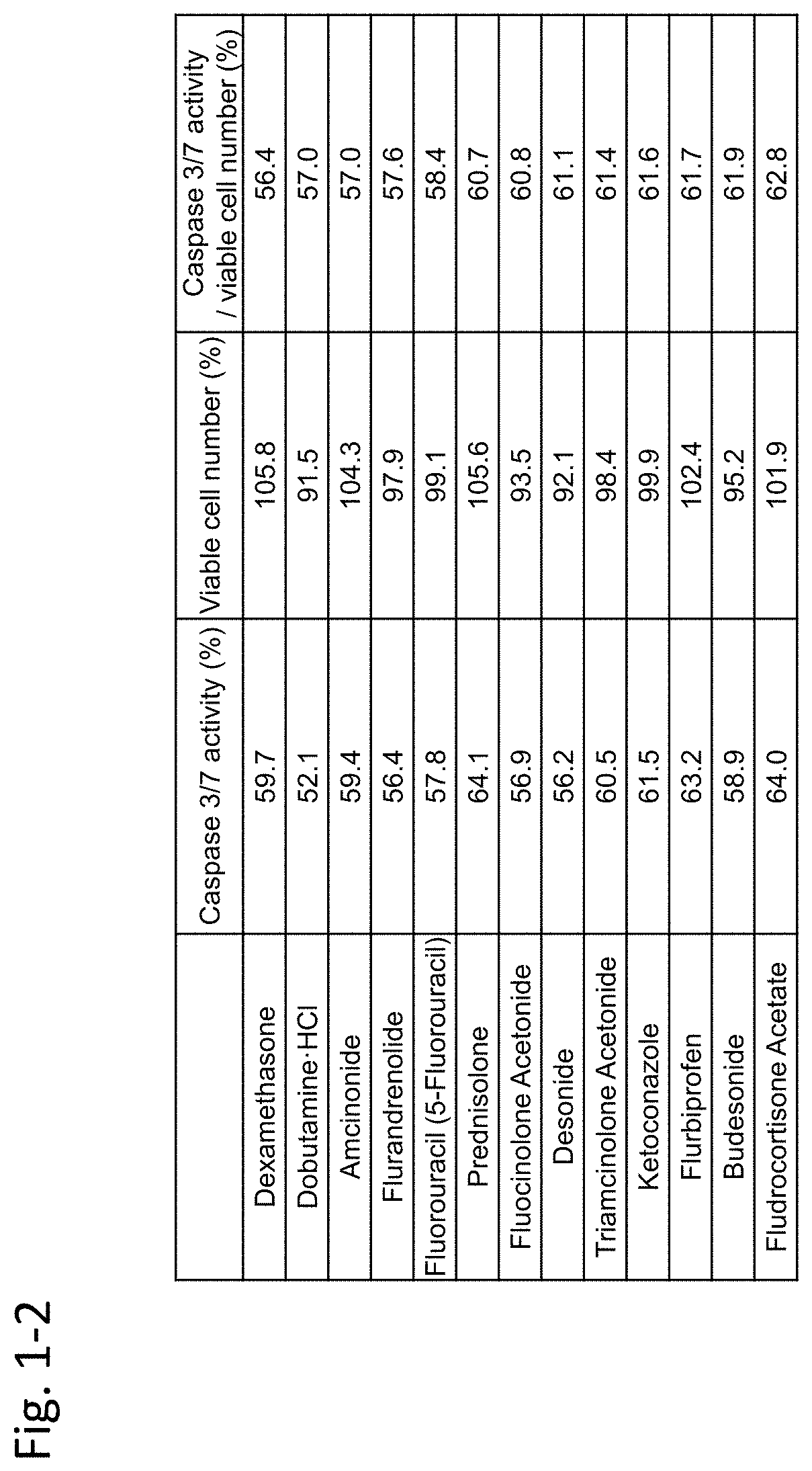 Compounds having caspase inhibitory activity, pharmaceutical agent containing said compounds and for treating or preventing corneal endothelial symptoms, disorders, or diseases, and application of said pharmaceutical agent