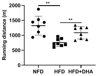 Novel application of DHA as feed additive in regulation and control of muscle fiber types