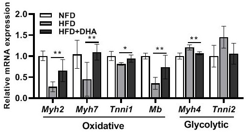 Novel application of DHA as feed additive in regulation and control of muscle fiber types