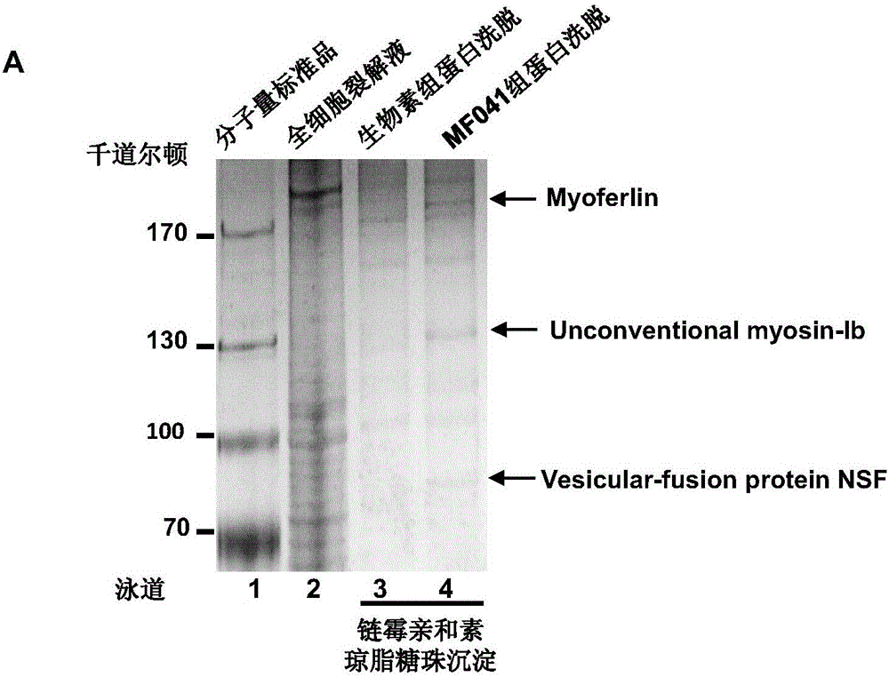 1, 5-diaryl-1, 2, 4-triazole compounds and pharmacy use thereof