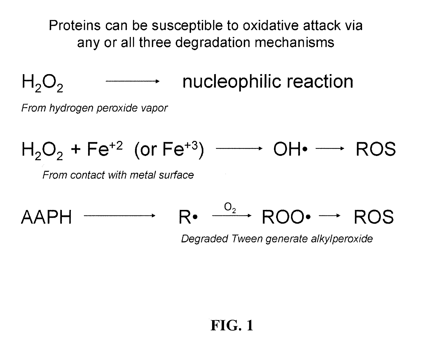 Compositions and methods for the prevention of oxidative degradation of proteins