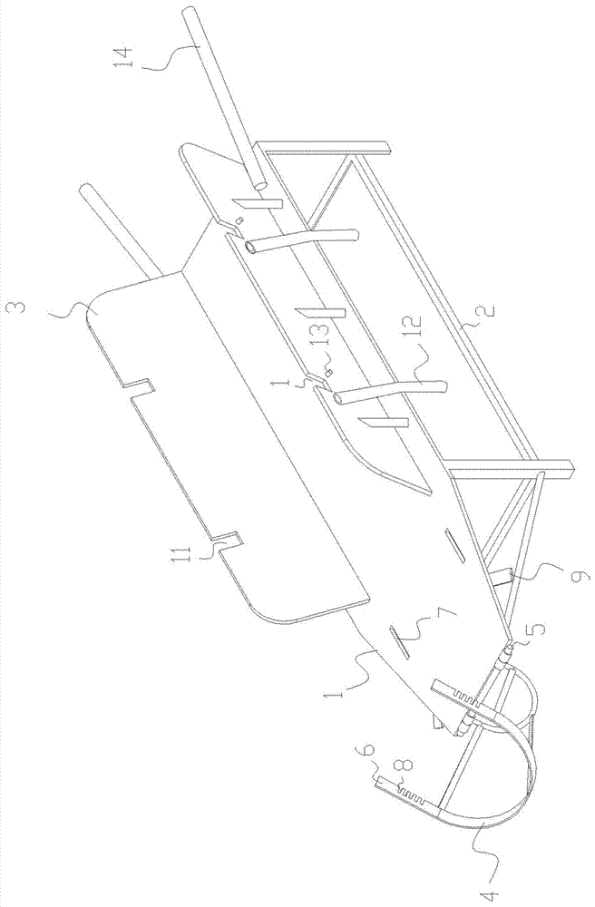 Aseptic fixing and blood collecting device for pigs and fixing and blood collecting method