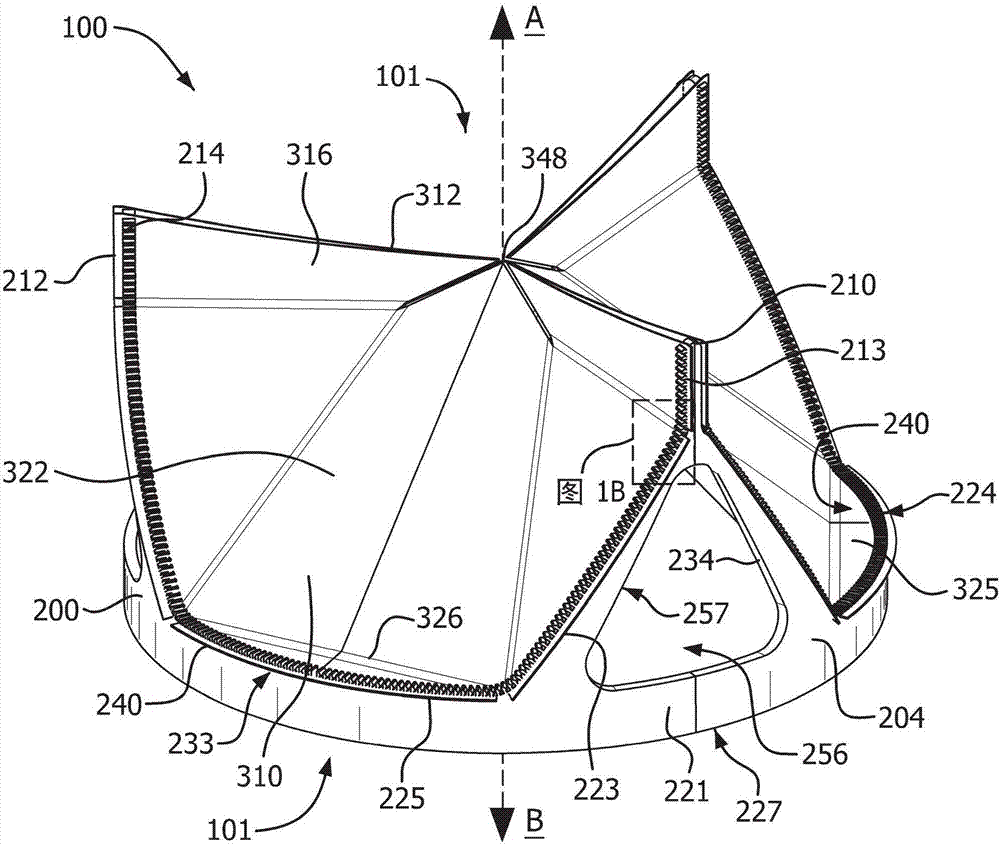 Prosthetic valves with mechanically coupled leaflets