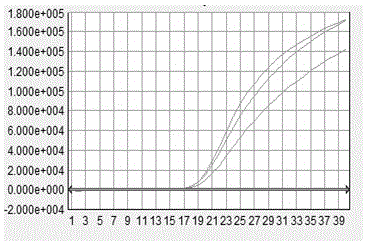 Capripoxvirus (CPV) Taqman-MGB (minor groove binder) probe multiple real-time fluorescence quantitative PCR (polymerase chain reaction) detection primer, kit and detection method