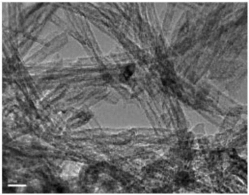 A kind of preparation method of high temperature stable titanium dioxide nanotube powder