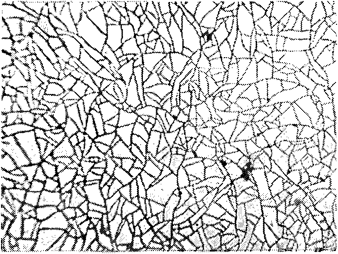 Plating liquid for plating micro-crack nickel and use thereof