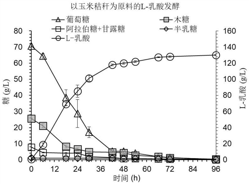 Method for synthesizing L-lactide from chiral L-lactic acid produced by using lignocellulose biomass as raw material