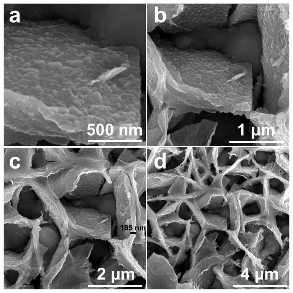 A preparation method of a bismuth-doped bimetallic sulfide electrode for electrocatalytic oxidation of urea