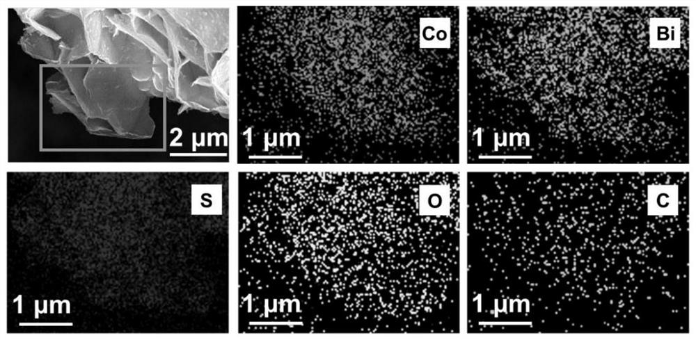 A preparation method of a bismuth-doped bimetallic sulfide electrode for electrocatalytic oxidation of urea