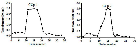 Procoagulant Chinese redbud polysaccharide as well as extraction and separation method and application thereof