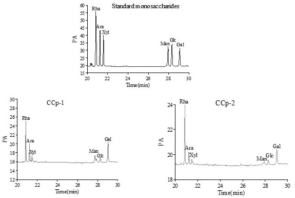 Procoagulant Chinese redbud polysaccharide as well as extraction and separation method and application thereof