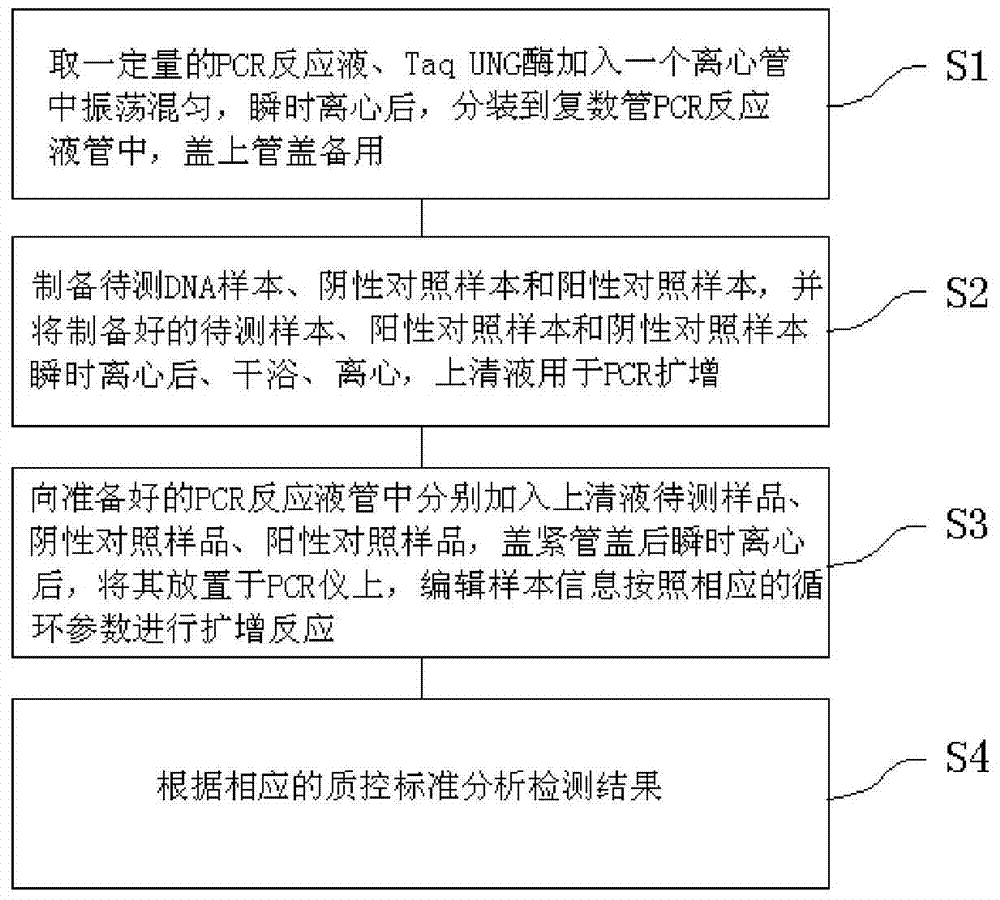 Pine wood nematode pcr detection kit and its detection method