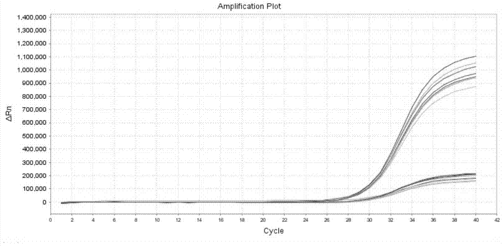 Pine wood nematode pcr detection kit and its detection method