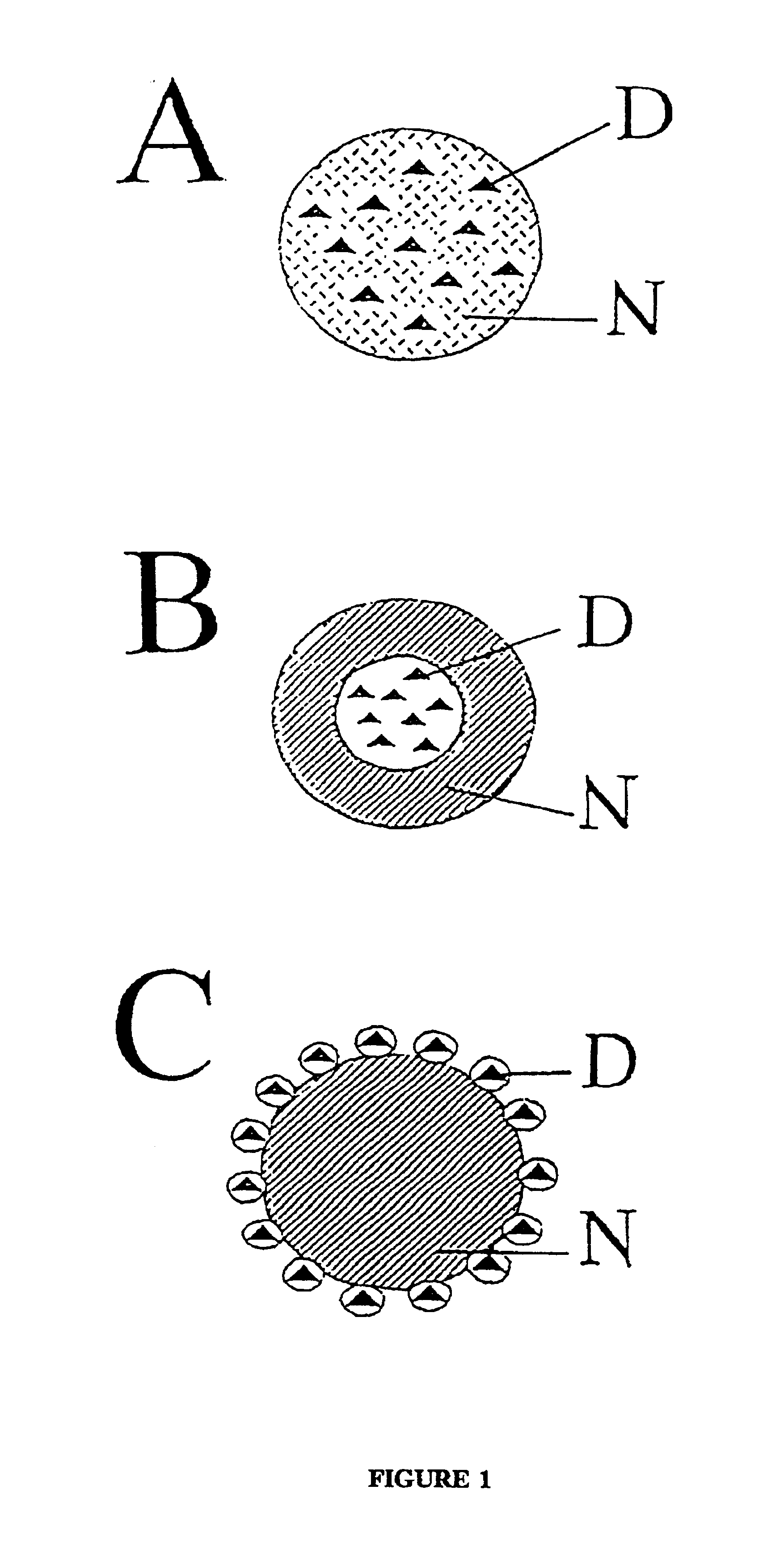 Drug targeting system, method of its preparation and its use