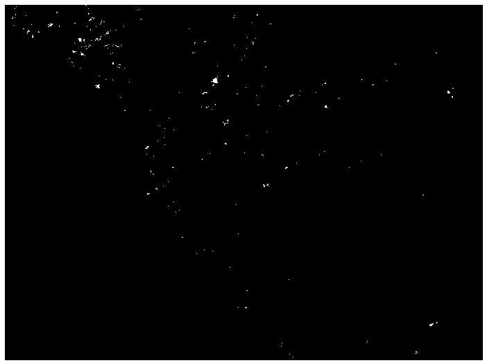 Apparatus and method for measuring aluminium combustion of solid propellant based on coaxial digital holographic method