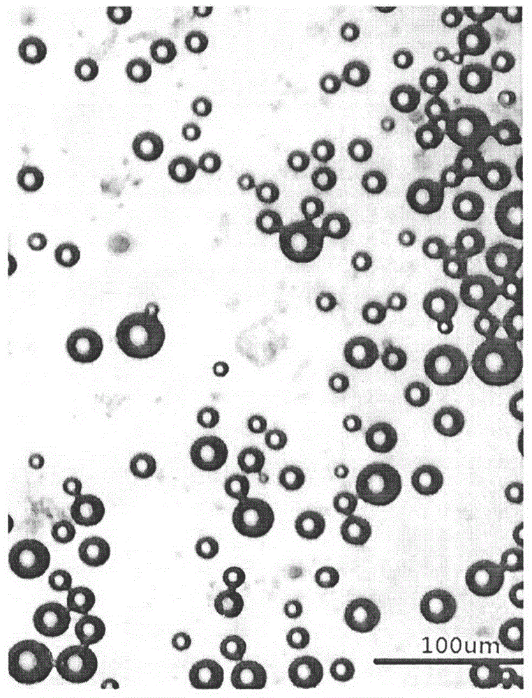 Micro-bubble dimension online measurement apparatus and method thereof