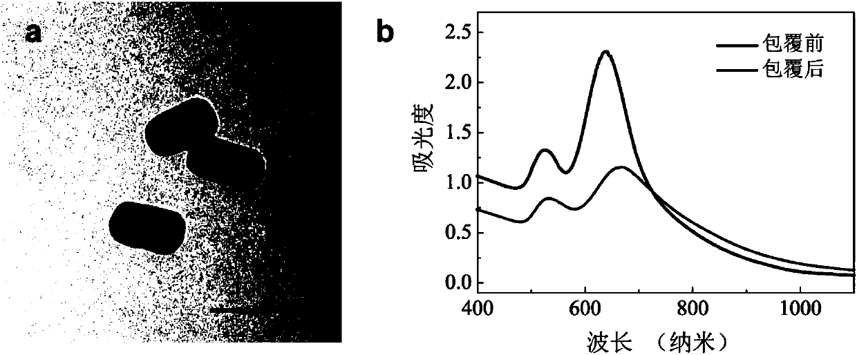 Preparation method of shape-controllable gold nanocrystal/poly(3, 4-ethylene dioxythiophene) core-shell nanomaterial