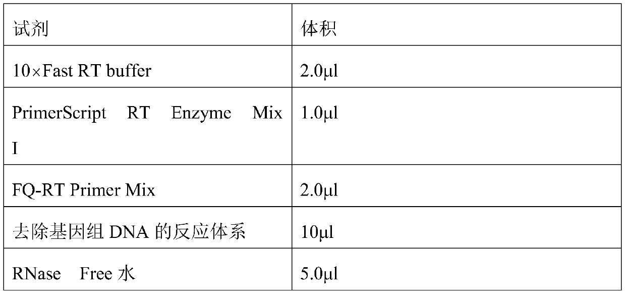 Lung adenocarcinoma biomarkers and related application